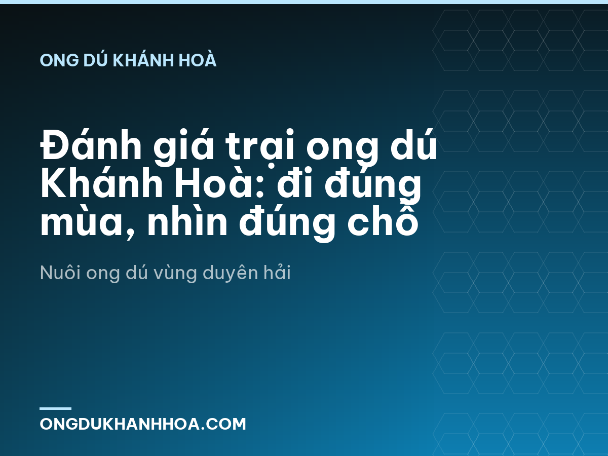 Đánh giá trại ong dú Khánh Hoà: đi đúng mùa, nhìn đúng chỗ