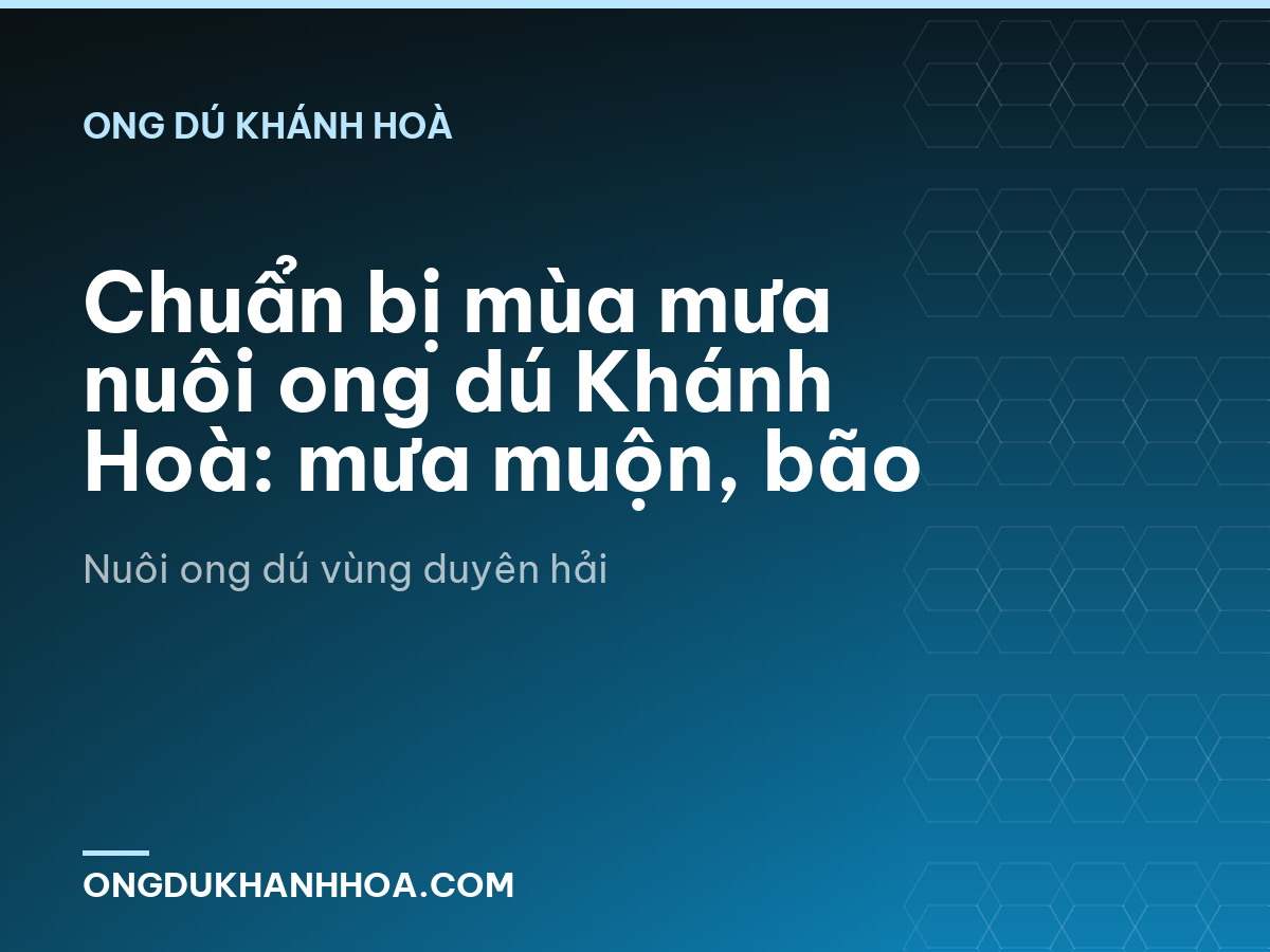 Chuẩn bị mùa mưa nuôi ong dú Khánh Hoà: mưa muộn, bão