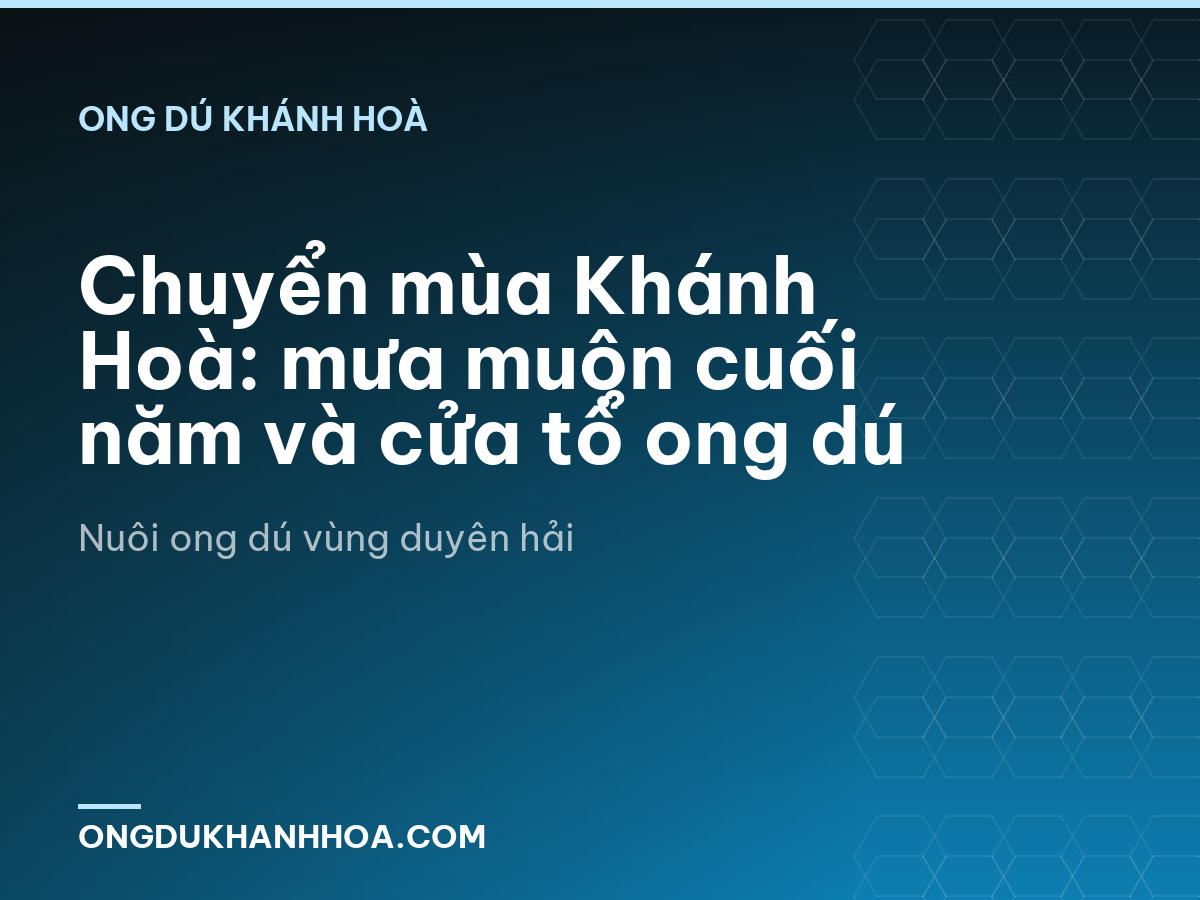 Chuyển mùa Khánh Hoà: mưa muộn cuối năm và cửa tổ ong dú
