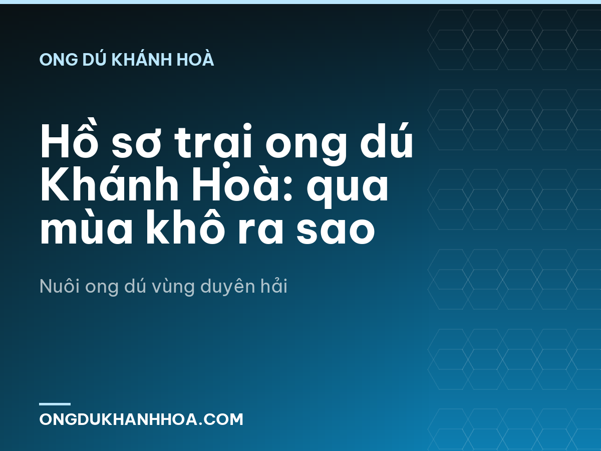 Hồ sơ trại ong dú Khánh Hoà: qua mùa khô ra sao