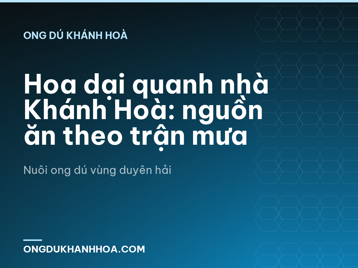 Hoa dại quanh nhà Khánh Hoà: nguồn ăn theo trận mưa