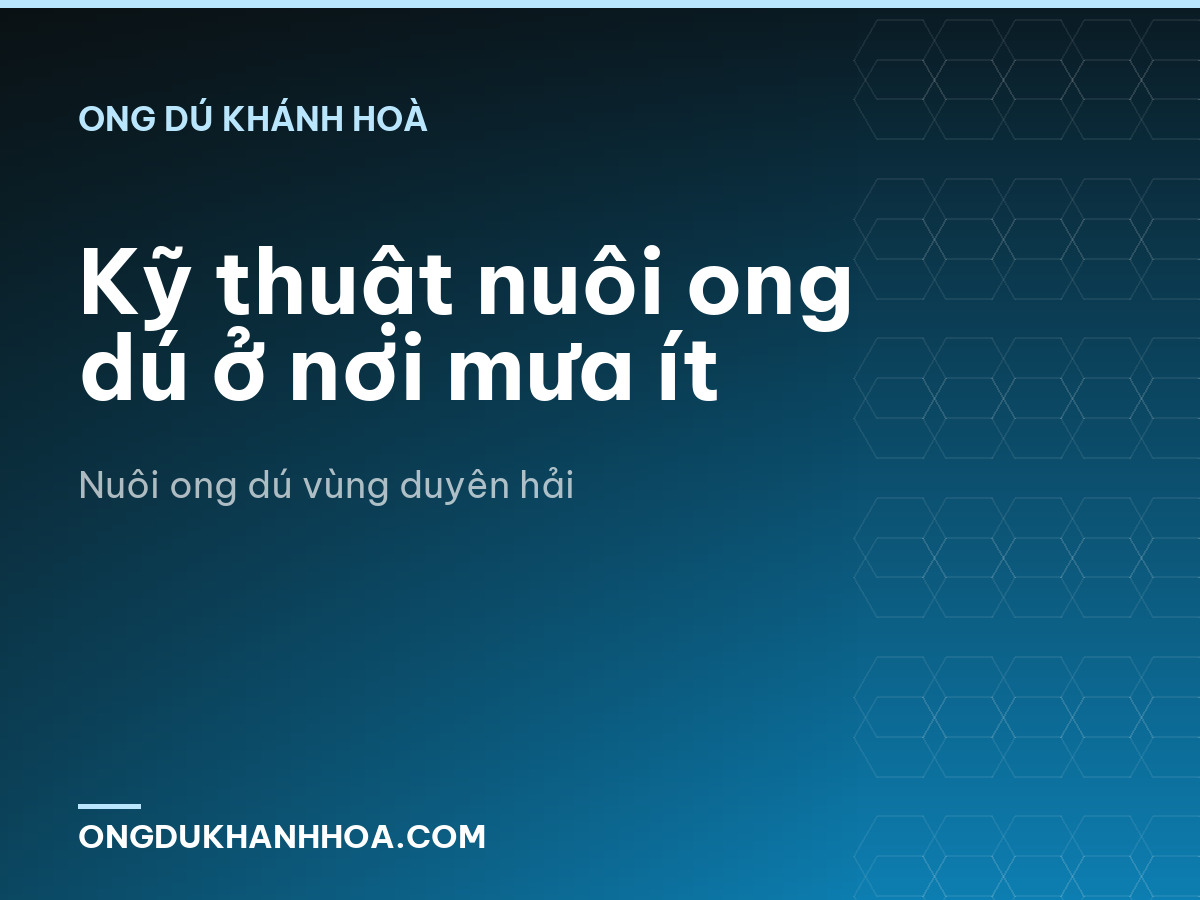 Kỹ thuật nuôi ong dú ở nơi mưa ít