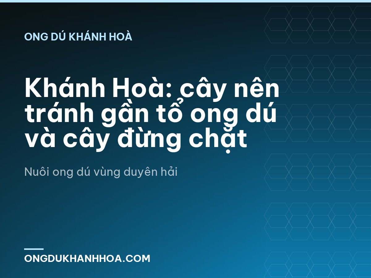 Khánh Hoà: cây nên tránh gần tổ ong dú và cây đừng chặt