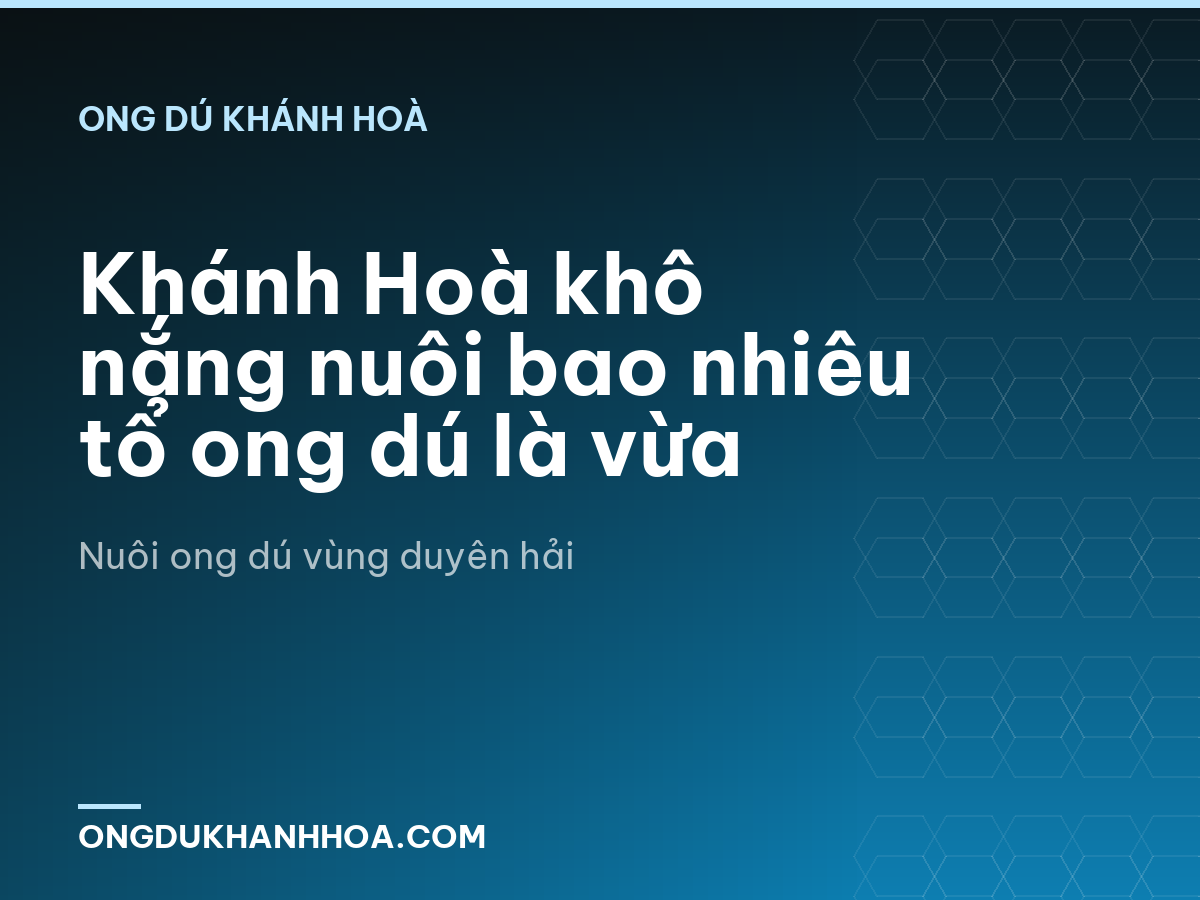 Khánh Hoà khô nắng nuôi bao nhiêu tổ ong dú là vừa