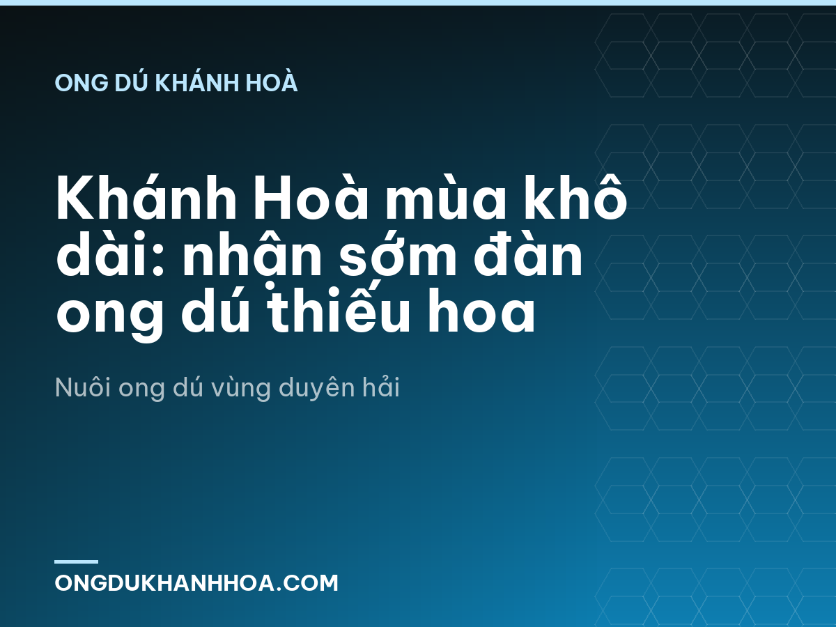 Khánh Hoà mùa khô dài: nhận sớm đàn ong dú thiếu hoa
