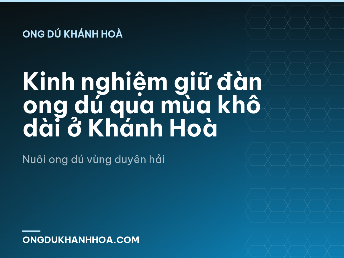 Kinh nghiệm giữ đàn ong dú qua mùa khô dài ở Khánh Hoà