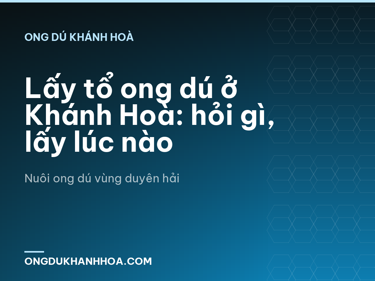Lấy tổ ong dú ở Khánh Hoà: hỏi gì, lấy lúc nào