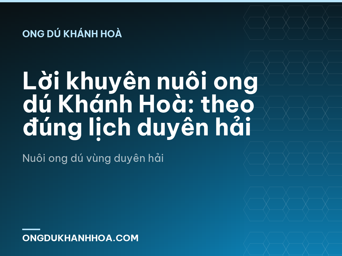 Lời khuyên nuôi ong dú Khánh Hoà: theo đúng lịch duyên hải