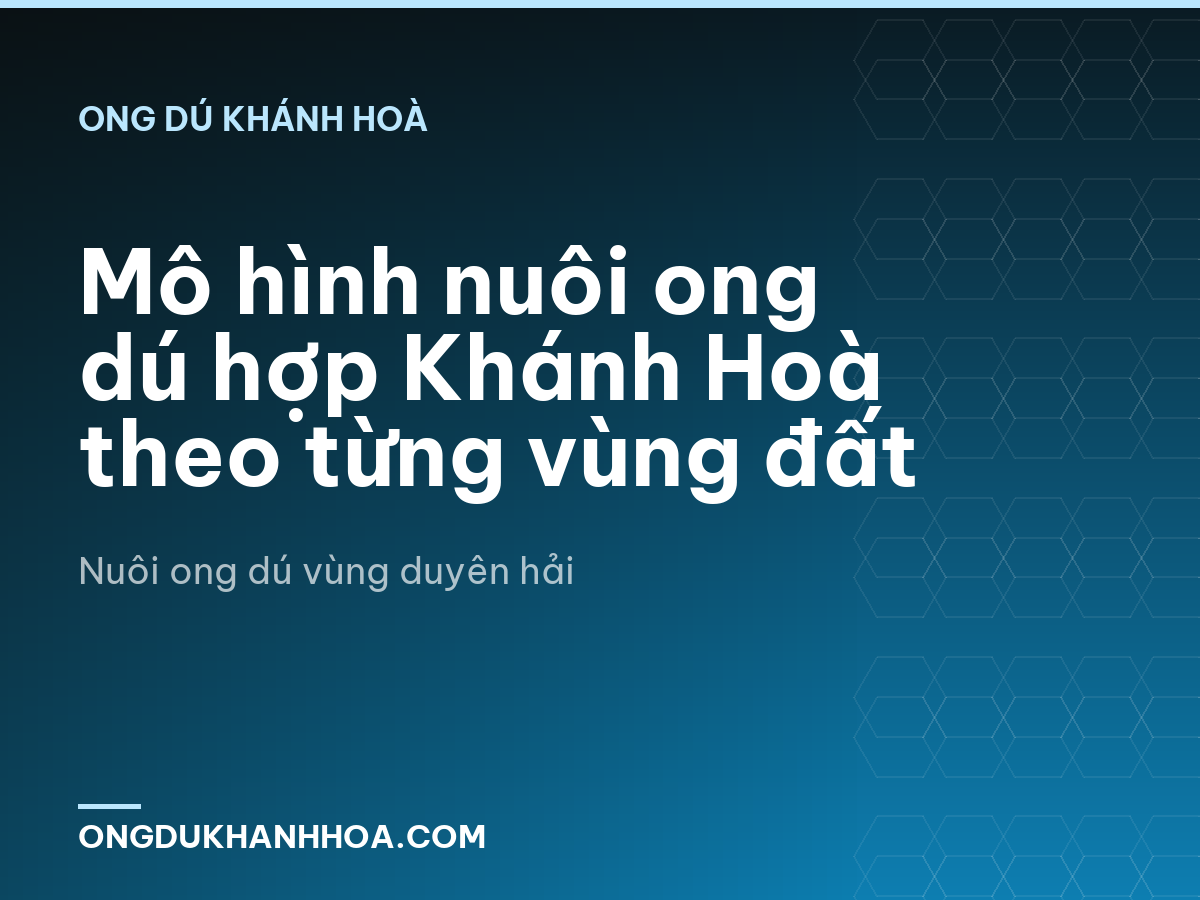 Mô hình nuôi ong dú hợp Khánh Hoà theo từng vùng đất