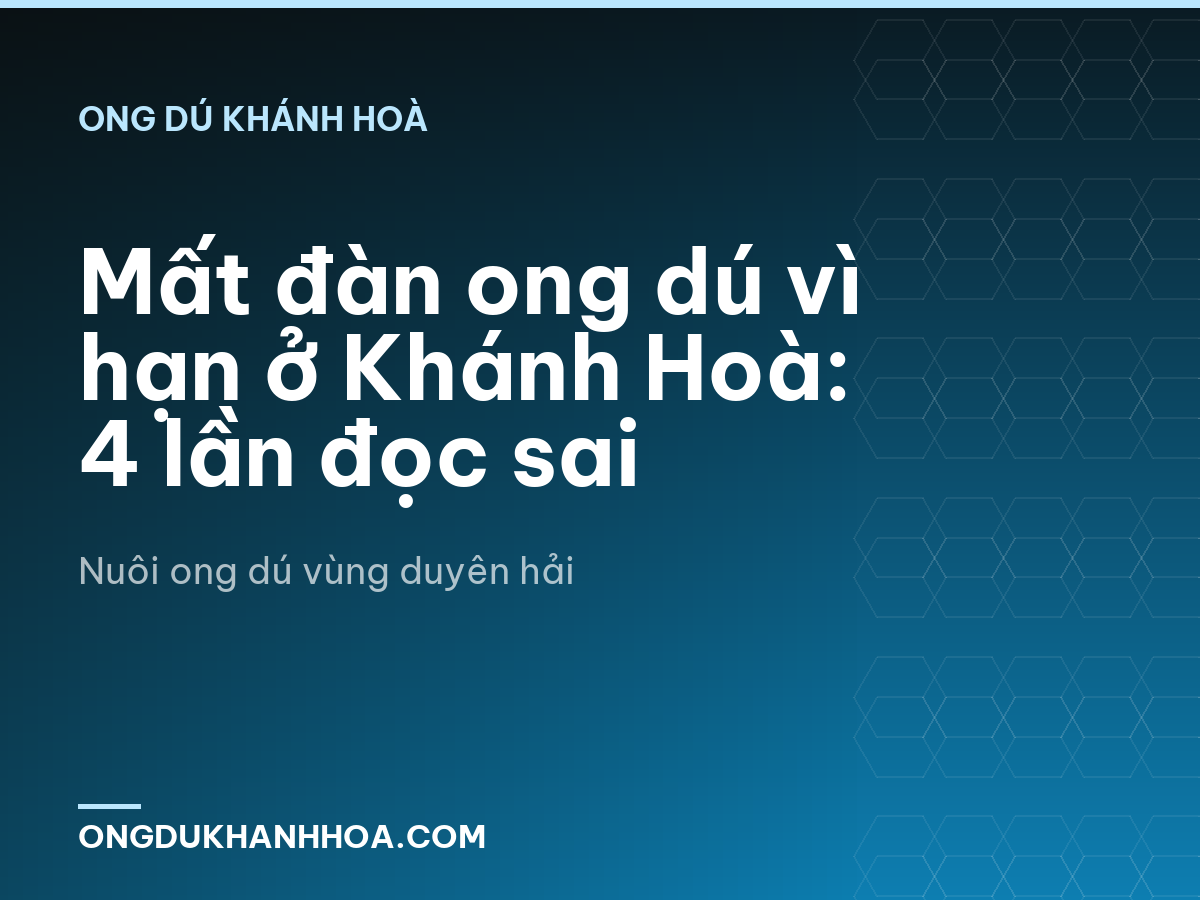 Mất đàn ong dú vì hạn ở Khánh Hoà: 4 lần đọc sai