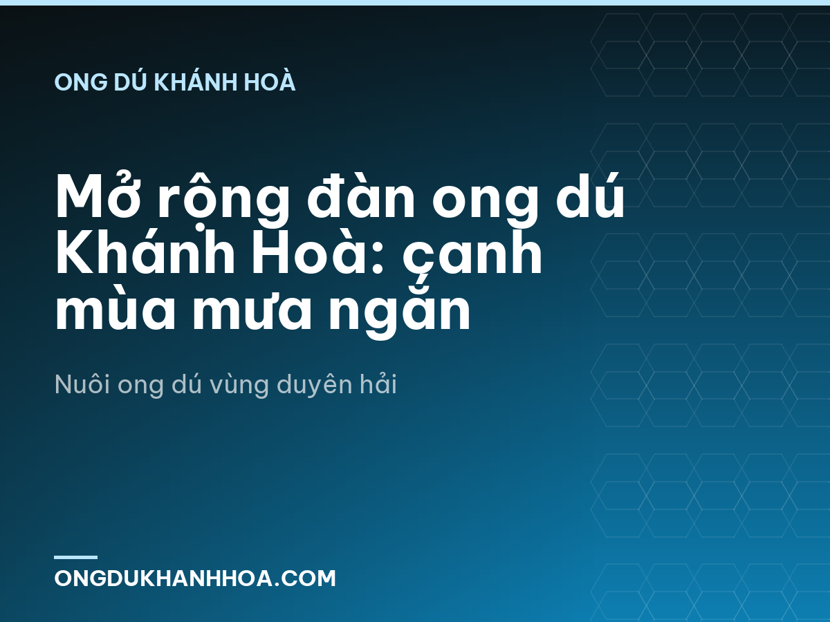 Mở rộng đàn ong dú Khánh Hoà: canh mùa mưa ngắn
