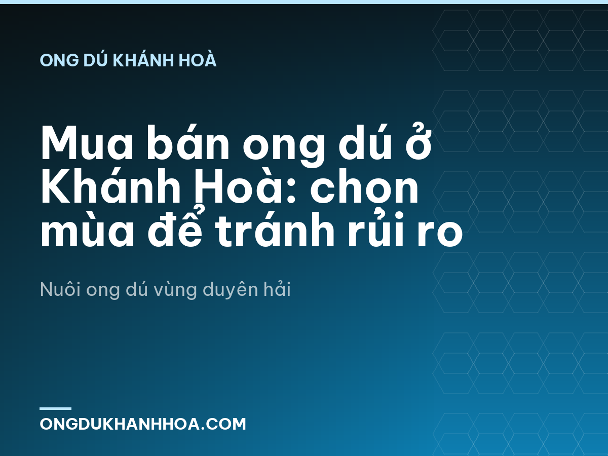 Mua bán ong dú ở Khánh Hoà: chọn mùa để tránh rủi ro