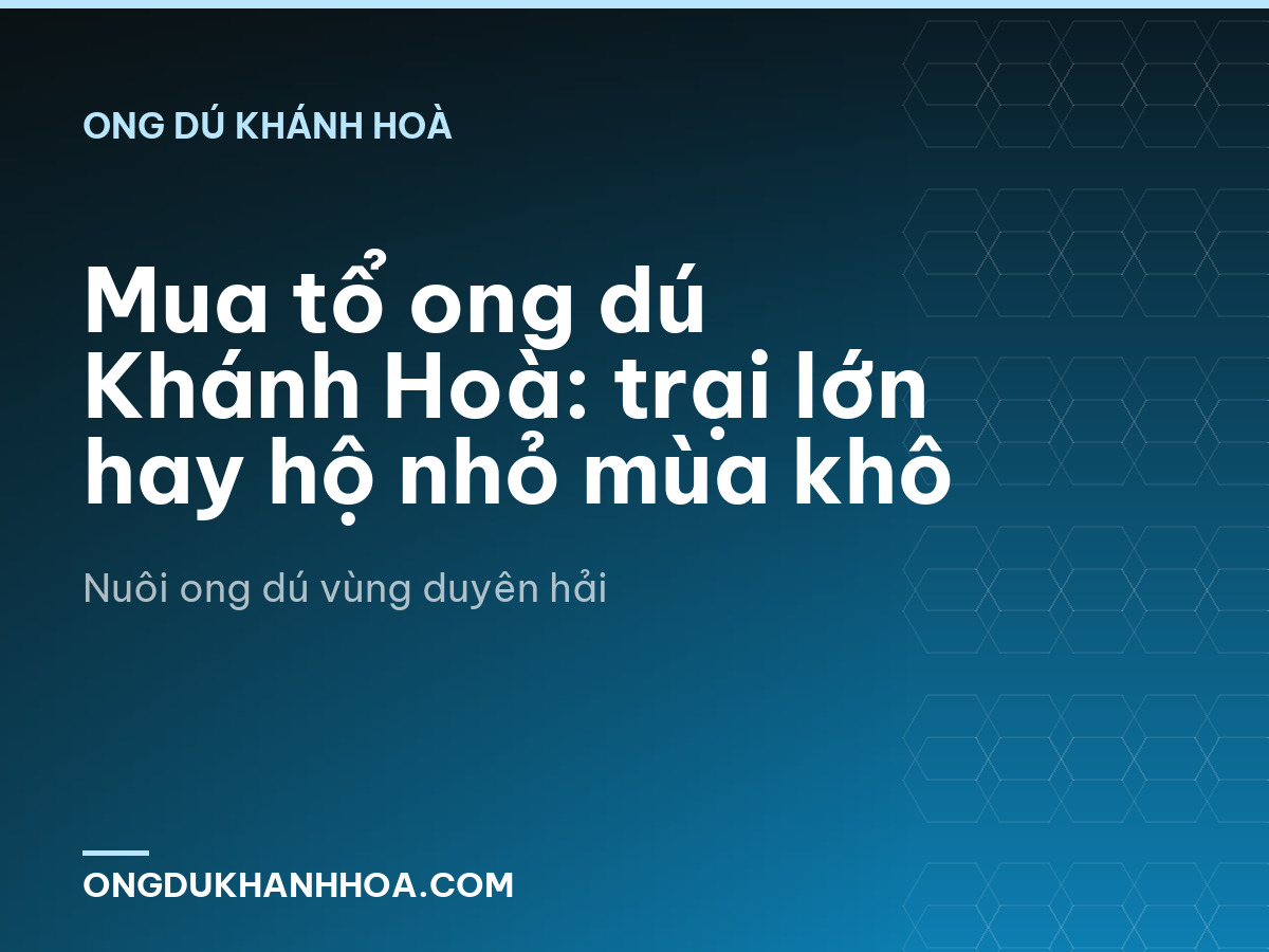 Mua tổ ong dú Khánh Hoà: trại lớn hay hộ nhỏ mùa khô