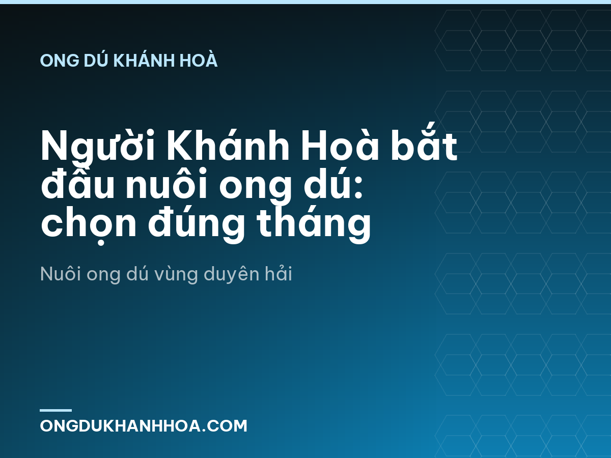 Người Khánh Hoà bắt đầu nuôi ong dú: chọn đúng tháng