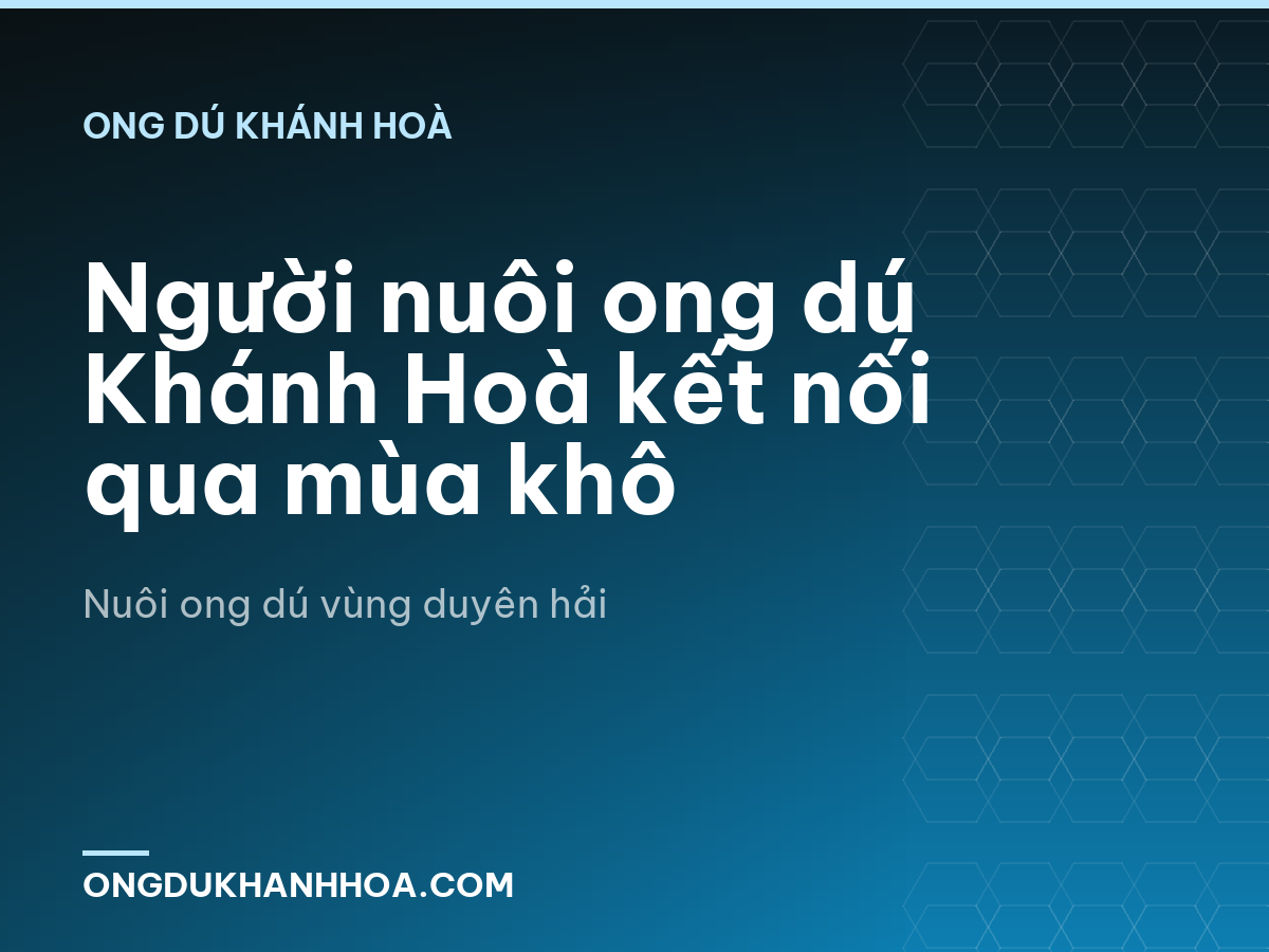 Người nuôi ong dú Khánh Hoà kết nối qua mùa khô