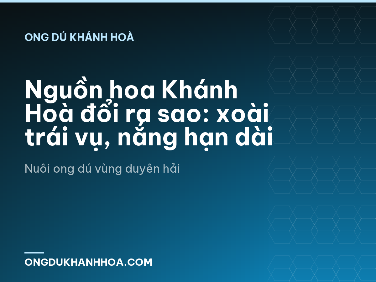 Nguồn hoa Khánh Hoà đổi ra sao: xoài trái vụ, nắng hạn dài