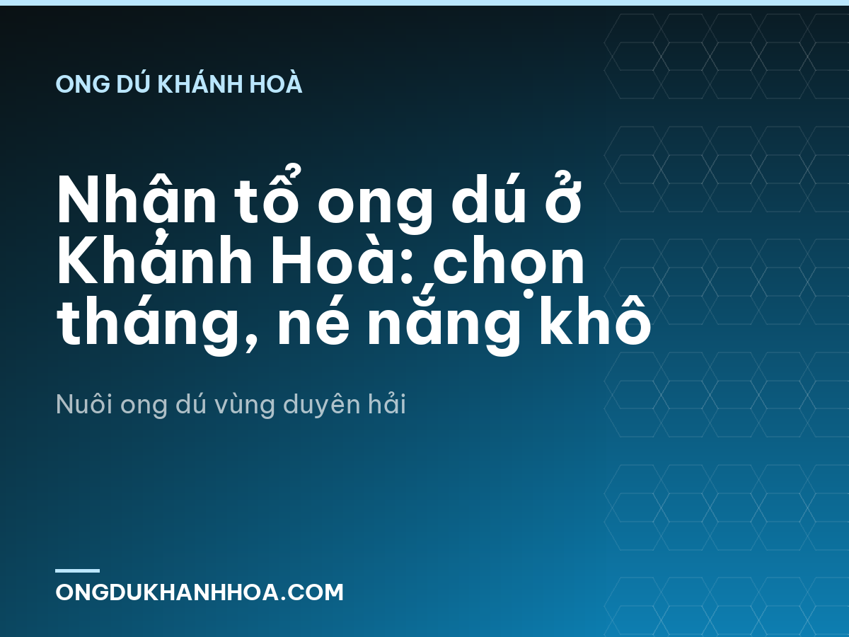 Nhận tổ ong dú ở Khánh Hoà: chọn tháng, né nắng khô