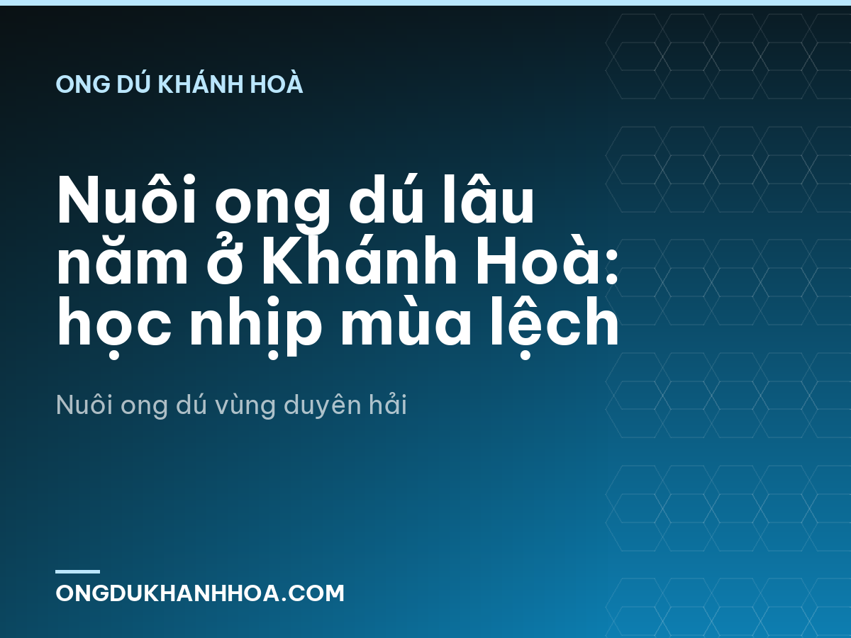 Nuôi ong dú lâu năm ở Khánh Hoà: học nhịp mùa lệch