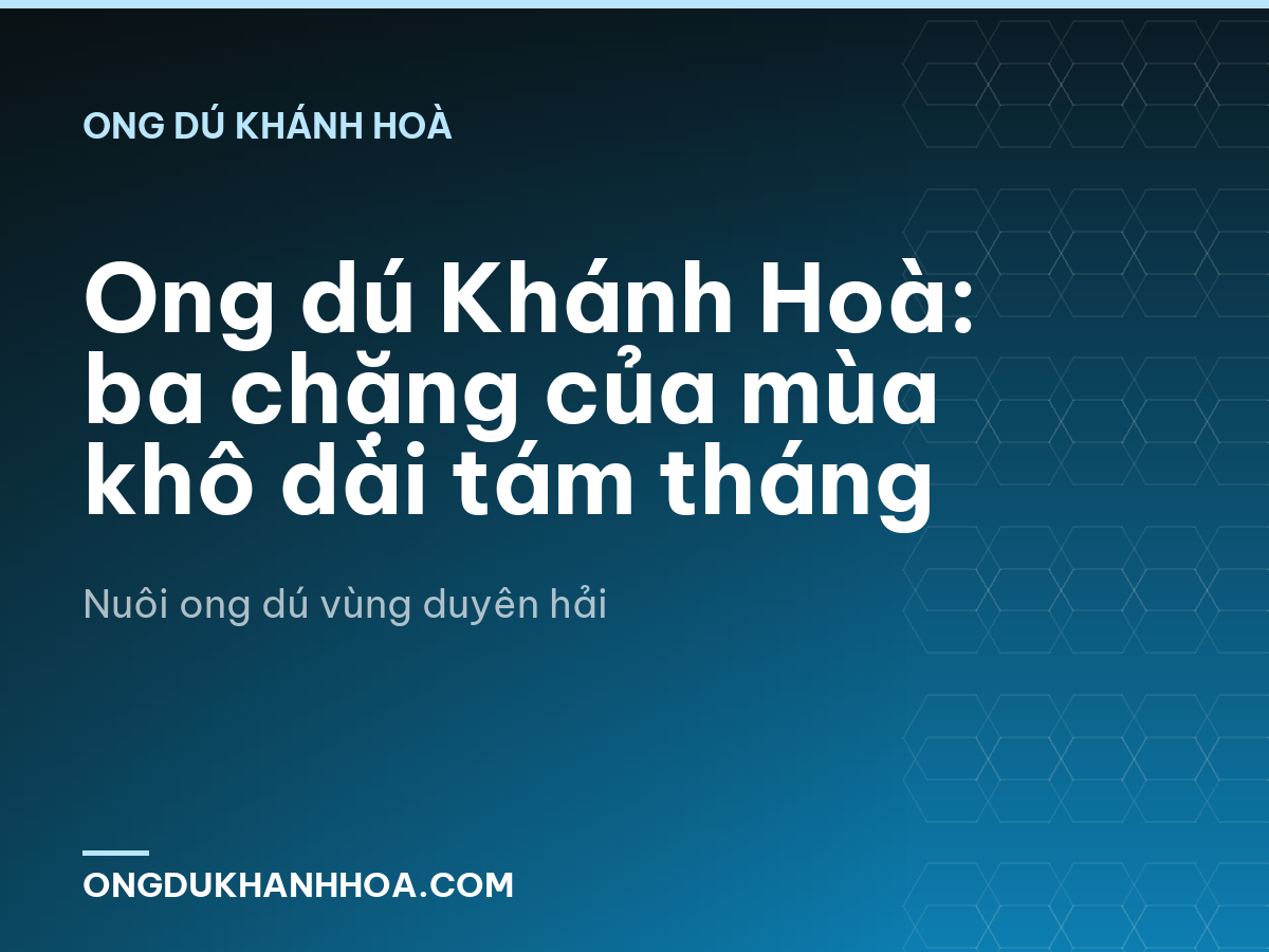 Ong dú Khánh Hoà: ba chặng của mùa khô dài tám tháng