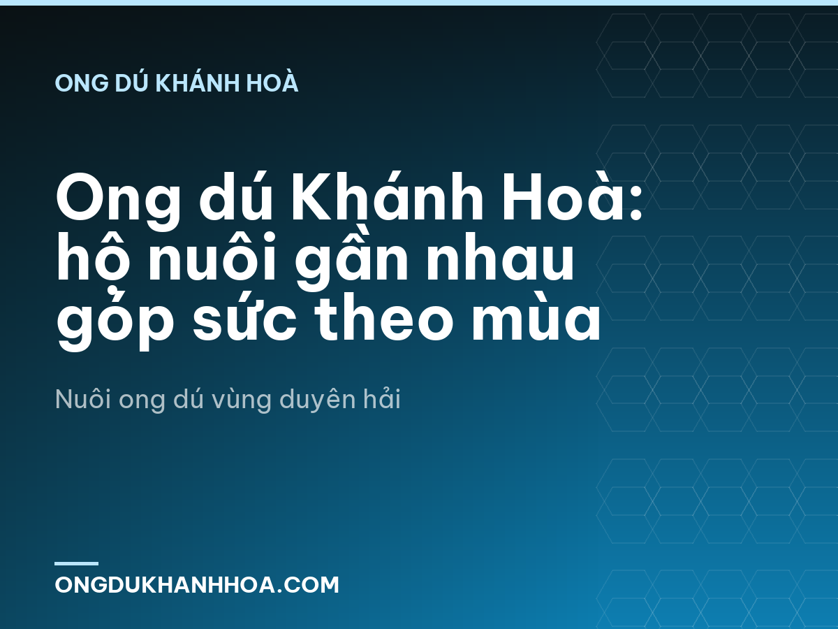 Ong dú Khánh Hoà: hộ nuôi gần nhau góp sức theo mùa
