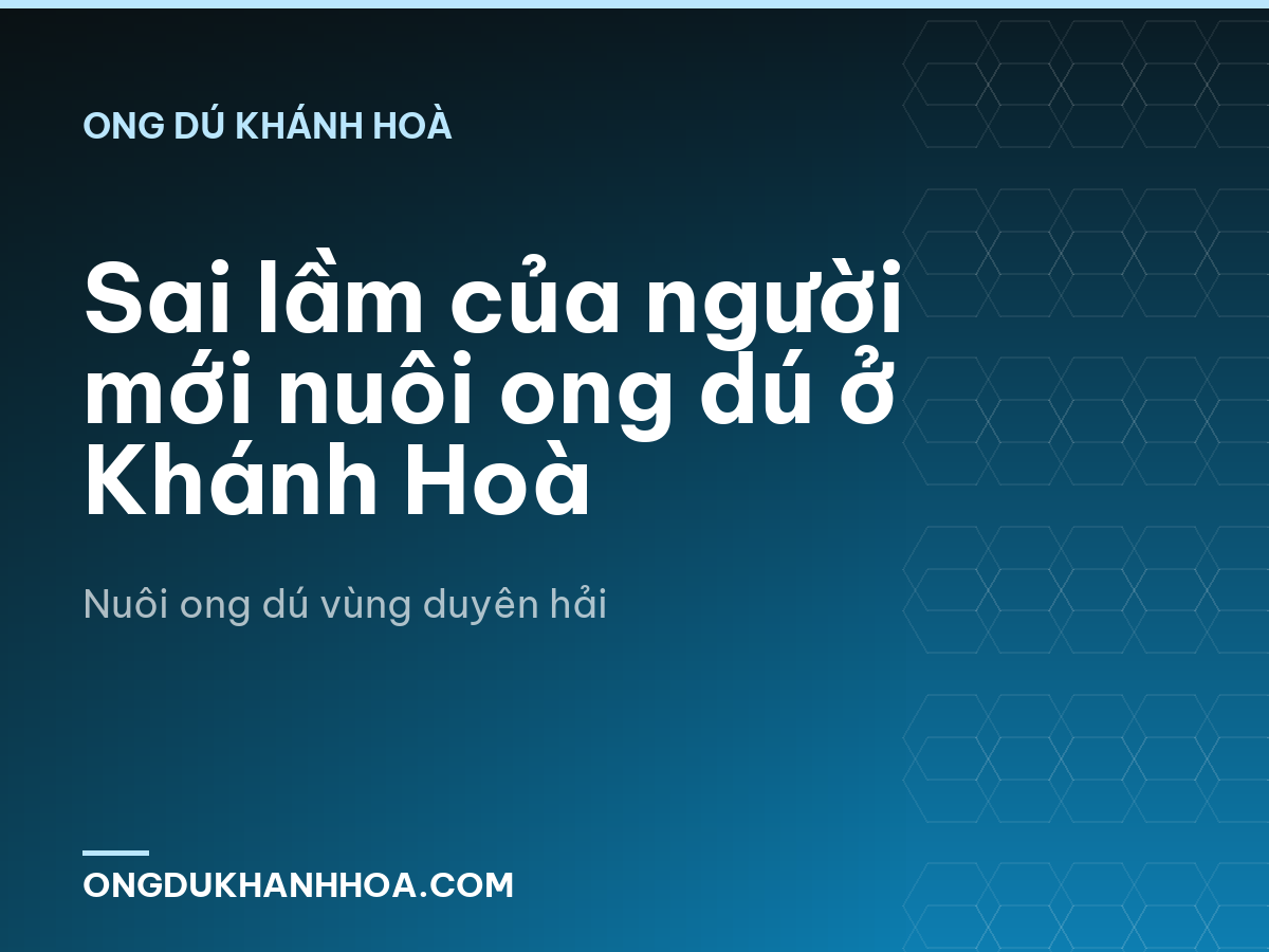 Sai lầm của người mới nuôi ong dú ở Khánh Hoà