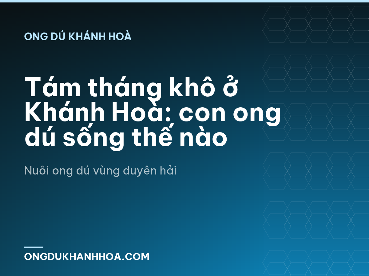 Tám tháng khô ở Khánh Hoà: con ong dú sống thế nào