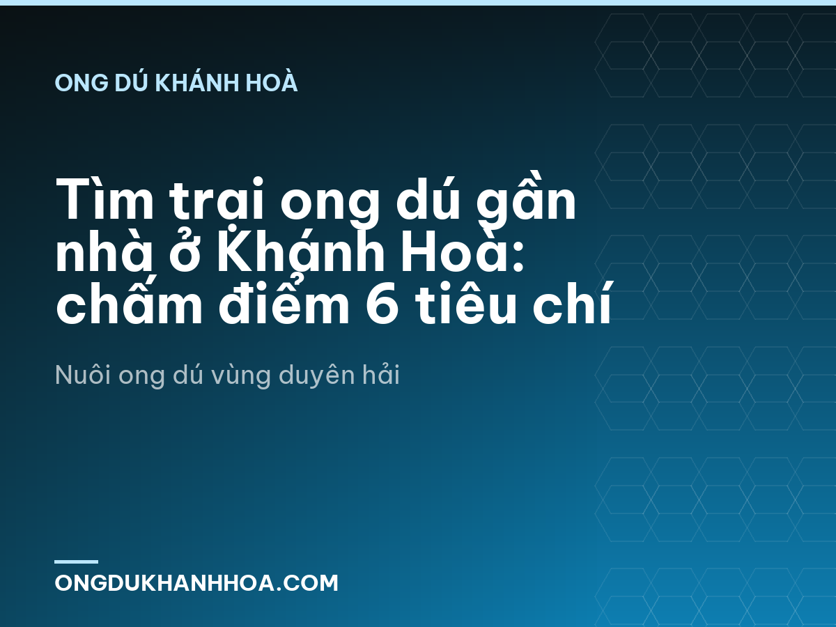 Tìm trại ong dú gần nhà ở Khánh Hoà: chấm điểm 6 tiêu chí