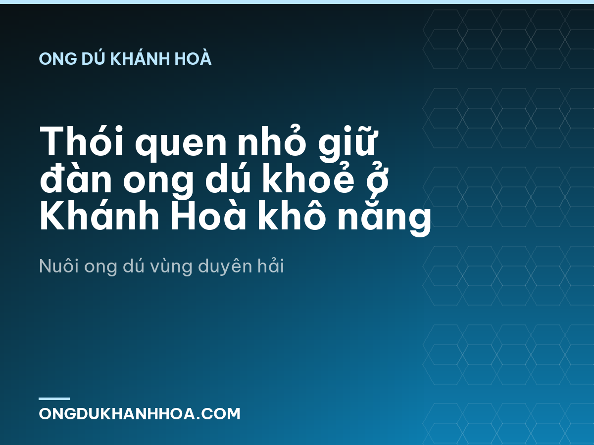 Thói quen nhỏ giữ đàn ong dú khoẻ ở Khánh Hoà khô nắng