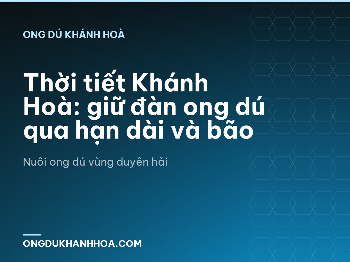 Thời tiết Khánh Hoà: giữ đàn ong dú qua hạn dài và bão