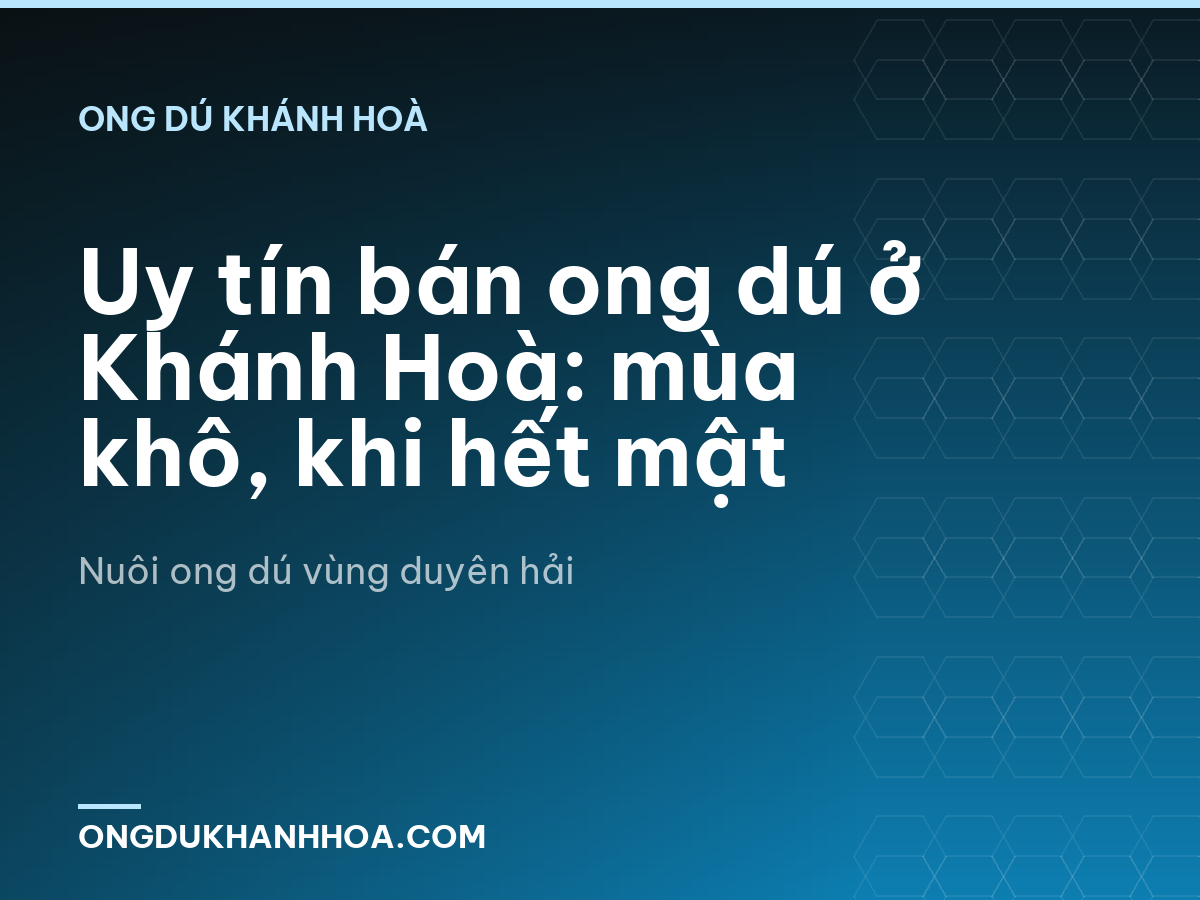 Uy tín bán ong dú ở Khánh Hoà: mùa khô, khi hết mật