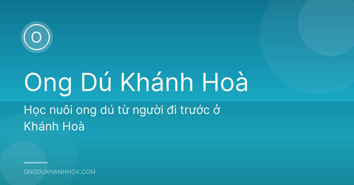 Học nuôi ong dú từ người đi trước ở Khánh Hoà