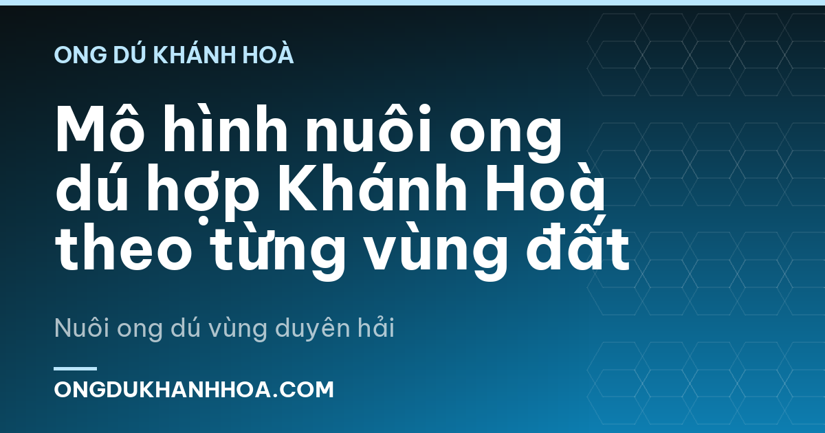 Mô hình nuôi ong dú hợp Khánh Hoà theo từng vùng đất
