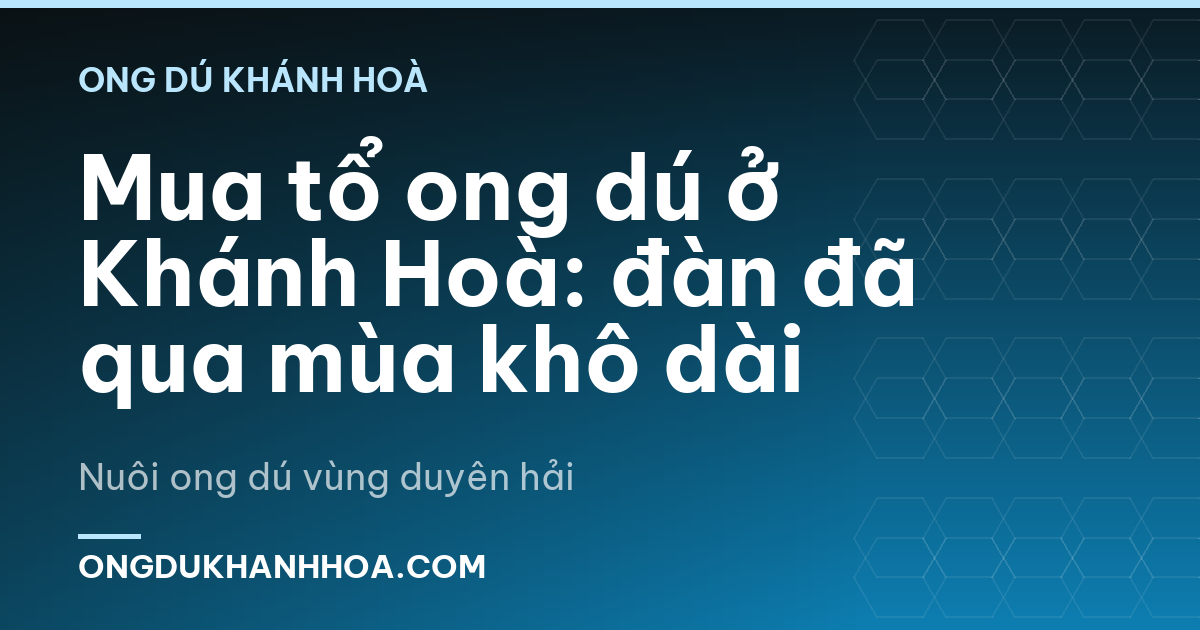 Mua tổ ong dú ở Khánh Hoà: đàn đã qua mùa khô dài