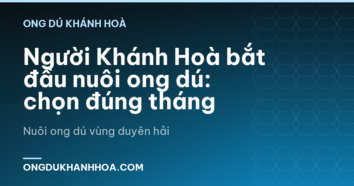 Người Khánh Hoà bắt đầu nuôi ong dú: chọn đúng tháng