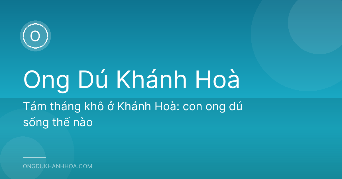Tám tháng khô ở Khánh Hoà: con ong dú sống thế nào