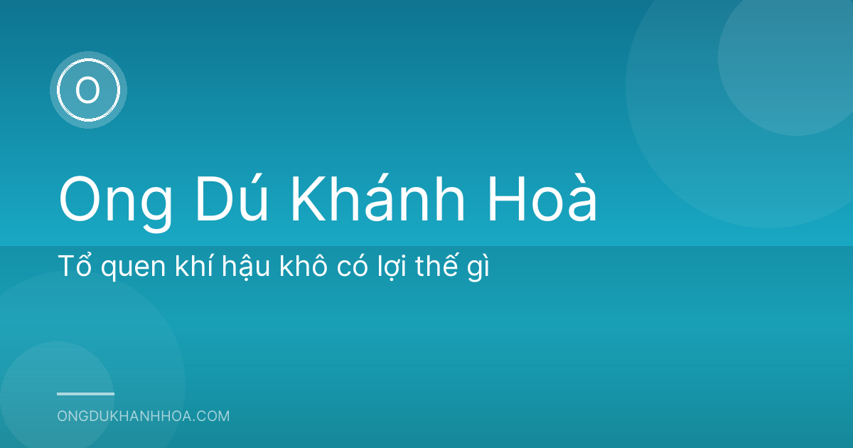 Tổ quen khí hậu khô có lợi thế gì